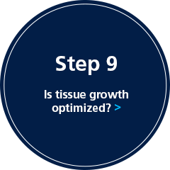 Step 9: Is the wound environment conducive to healing?